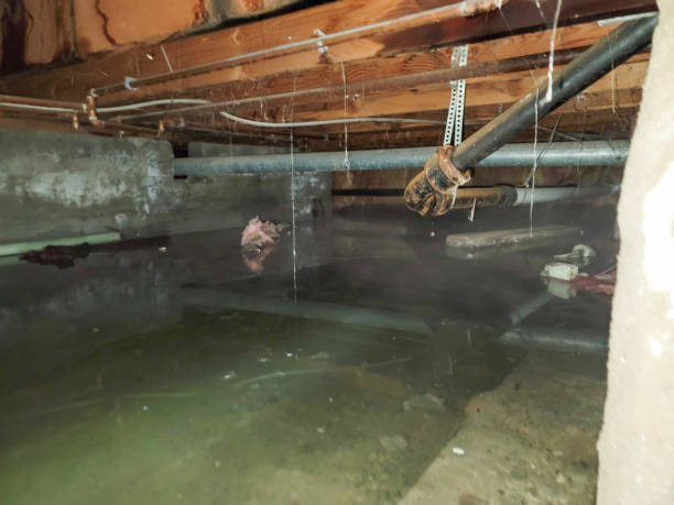 Best Commercial water damage restoration  in Spiro, OK
