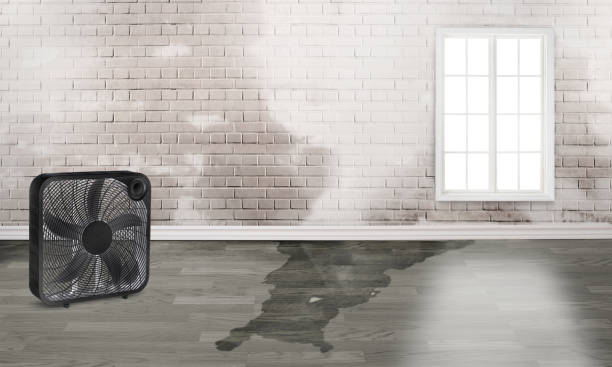 Best Water damage restoration near me  in Spiro, OK