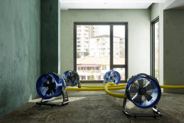 Best Residential water damage restoration  in Spiro, OK